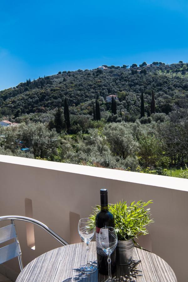 Alexandros Apartment Lefkada City Exterior photo